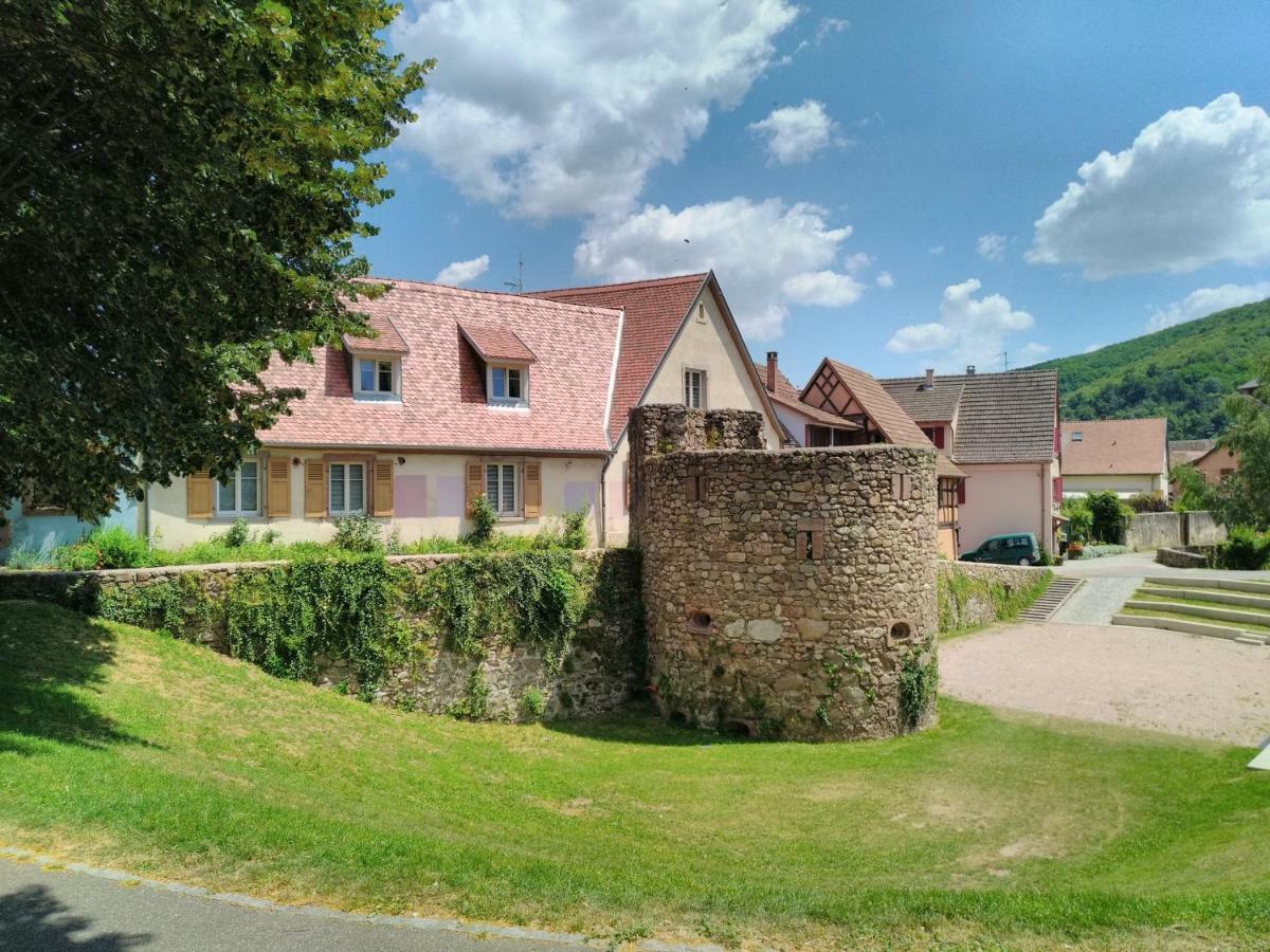 La Grande Terrine - Gites Les Potiers Kaysersberg-Vignoble Eksteriør bilde