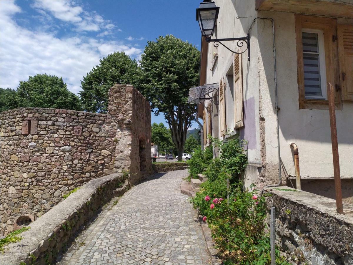 La Grande Terrine - Gites Les Potiers Kaysersberg-Vignoble Eksteriør bilde