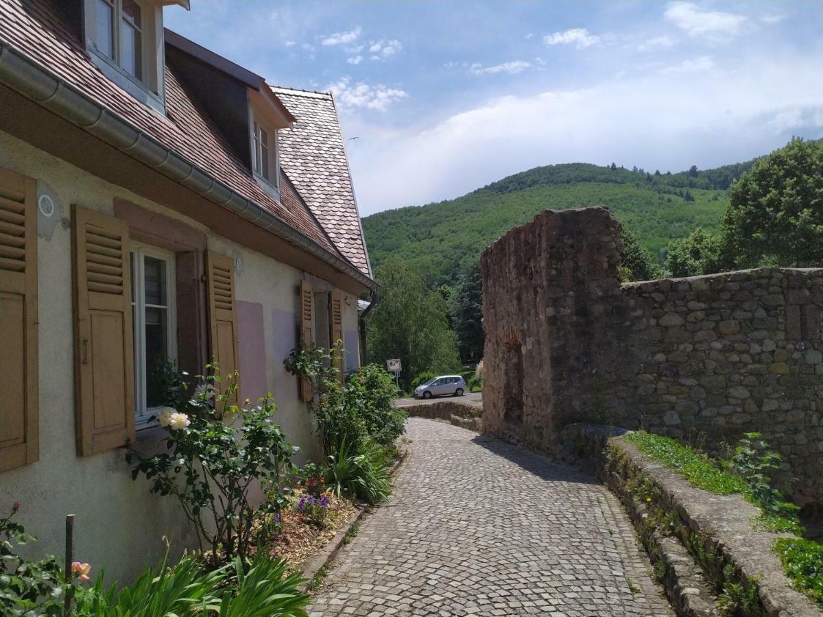 La Grande Terrine - Gites Les Potiers Kaysersberg-Vignoble Eksteriør bilde